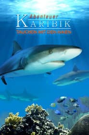 Abenteuer Karibik 3D: Tauchen Mit Den Haien