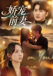 娇宠前妻