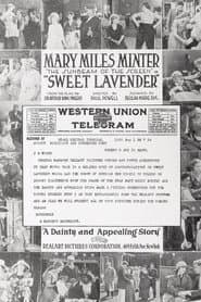 Sweet Lavender