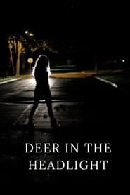 Deer in the Headlight