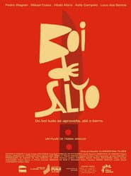 Boi de Salto