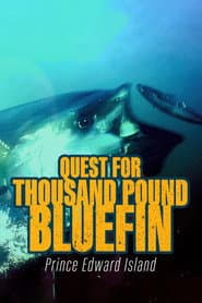 Quest for Thousand-Pound Bluefin: Prince Edward Island