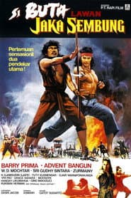 The Warrior and The Blind Swordsman