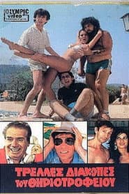 Crazy Holiday