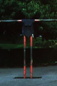 Park Ambassador