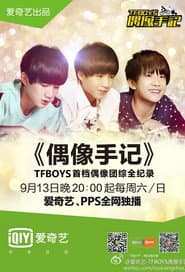 TFBOYS偶像手記