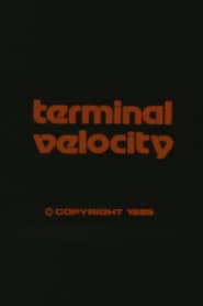 Terminal Velocity