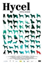 The Dogcatcher
