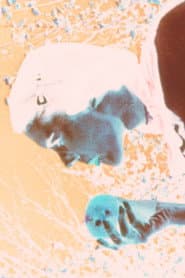 Kodachrome Love Poem