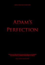 Adam's Perfection