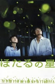 Fireflies: River of Light