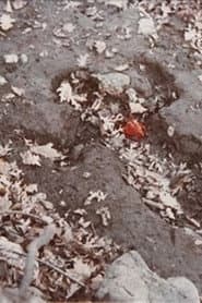 Corazón de Roca con Sangre