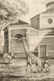Night Falls on the Menagerie