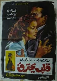 Qalb Yahtarek