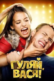 Have Fun, Vasya!