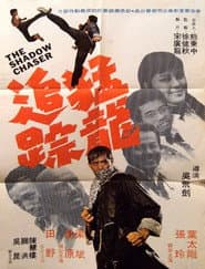 The Shadow Chaser