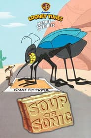 Soup or Sonic