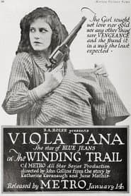 The Winding Trail