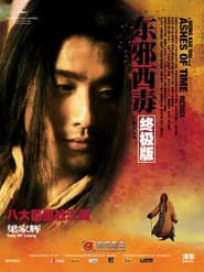 Ashes of Time Redux