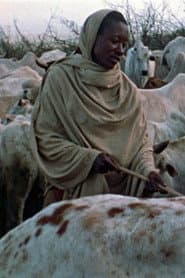 Boran Herdsmen