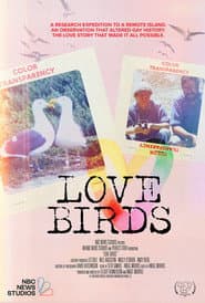 Love Birds