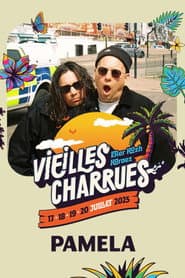 Pamela en concert aux Vieilles Charrues 2025