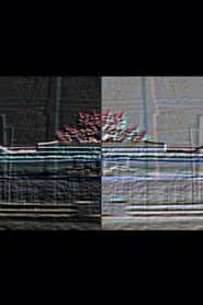 Cylinder Seal