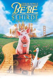 Babe: Pig in the City