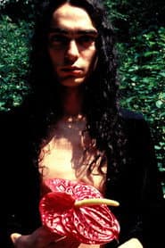 Sauro Bellini