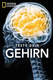 Test Your Brain