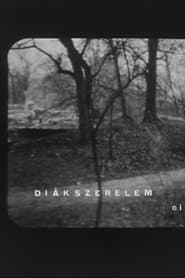 Diákszerelem
