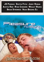 Pleasure to Burn