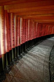 Soft Pong Inari