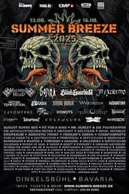 In Extremo: Live at Summer Breeze 2025