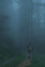 Men Wandering in the Mountain
