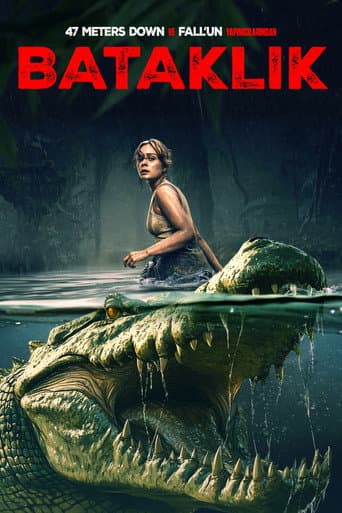 The Bayou