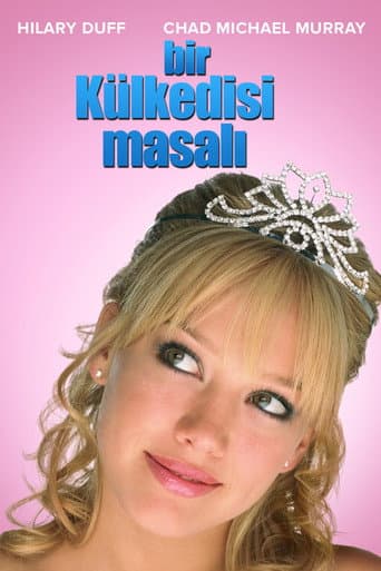 A Cinderella Story
