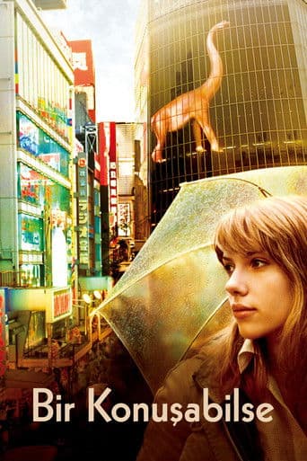 Lost in Translation