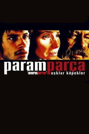Amores Perros