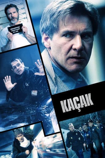 The Fugitive