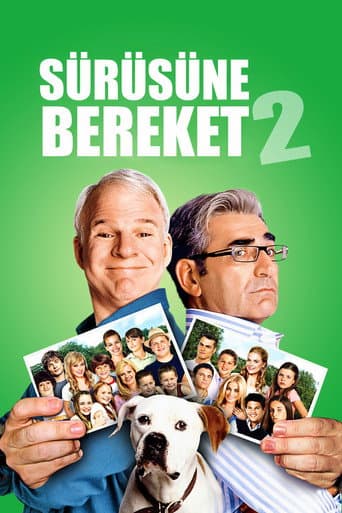 Cheaper by the Dozen 2