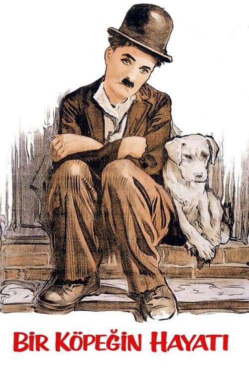 A Dog's Life