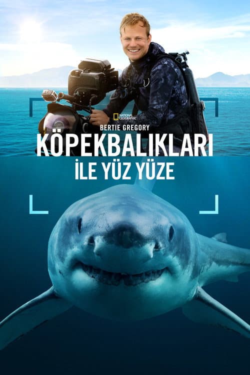 Sharks Up Close with Bertie Gregory