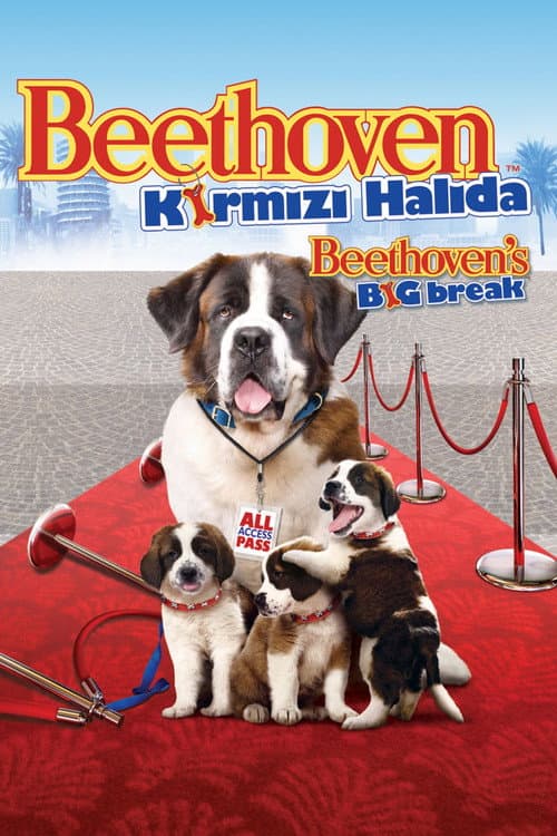 Beethoven's Big Break
