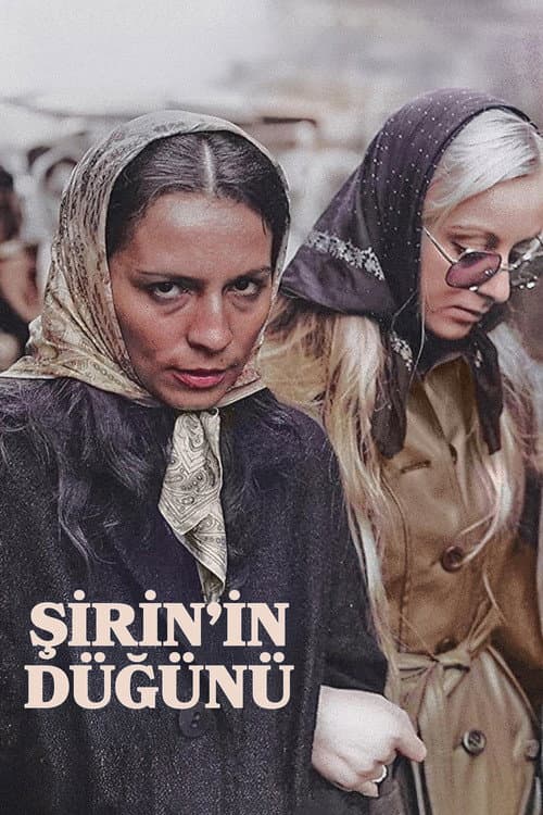 Shirin's Wedding