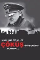 Downfall